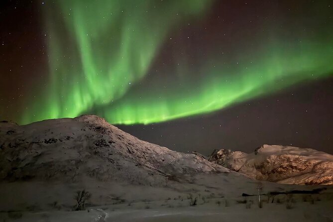 Northern Lights Tour with Hot Food and Drinks in Tromso - Thermal suits and the gear provided