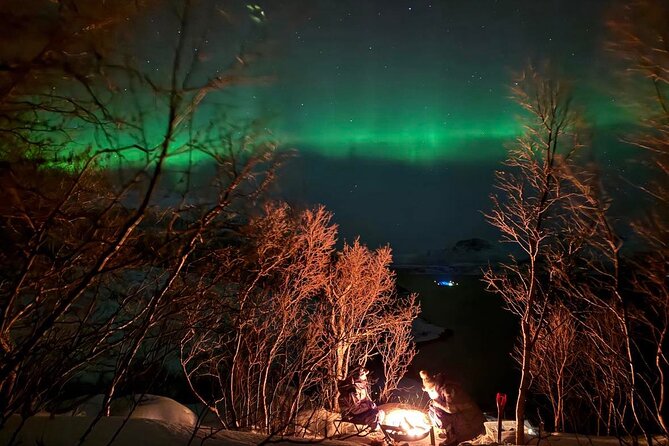 Northern Lights Tour with Hot Food and Drinks in Tromso - Is $269.24 a fair price?