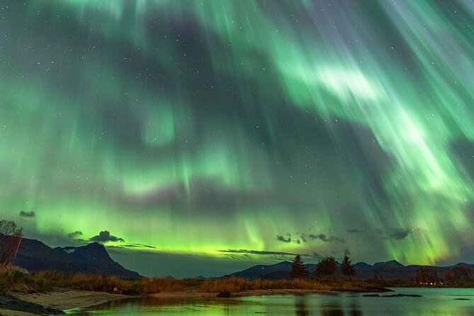 Northern Lights Tour with Local Guide and Photos - A warm, personal style from a small family company