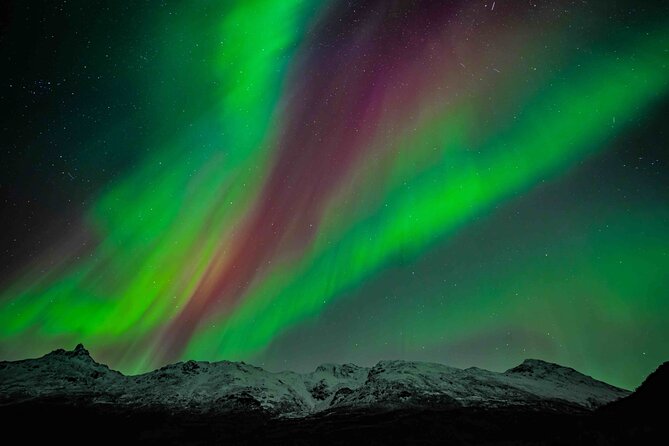 Northern Lights Tour with small group of 8 people - Why the chase matters around Tromsø