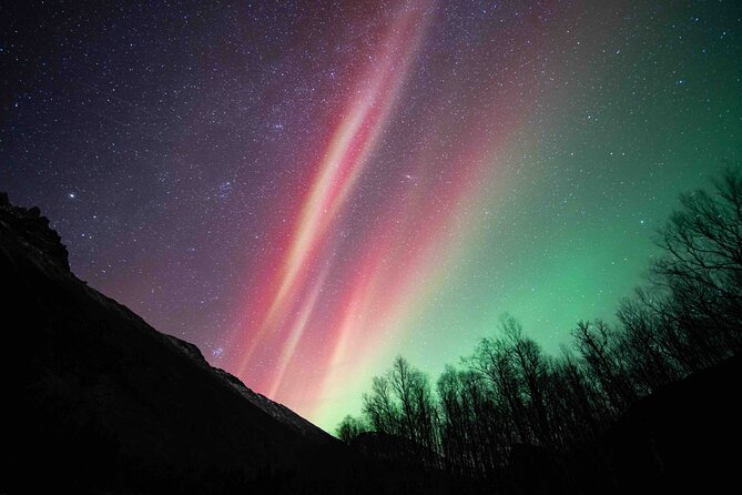 Northern Lights Tour with small group of 8 people - A small group makes a cold night easier