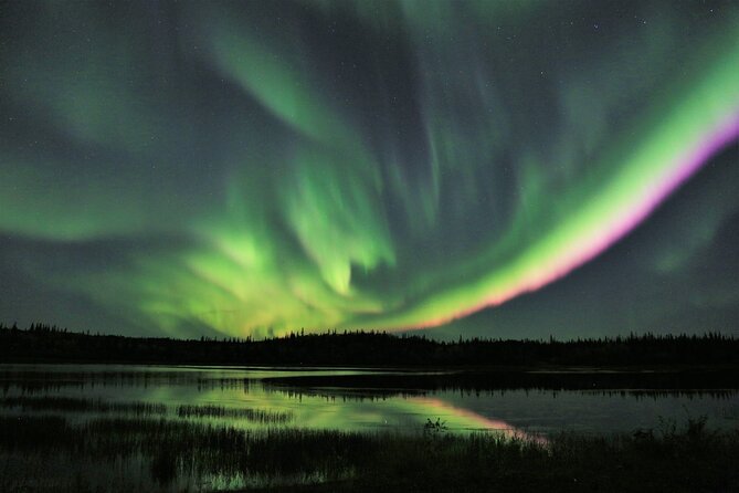 Northern Lights Tour Yellowknife - Transport and group size