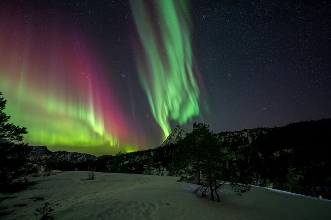 Northern Lights Tours Bodo Norway - What happens when the aurora appears