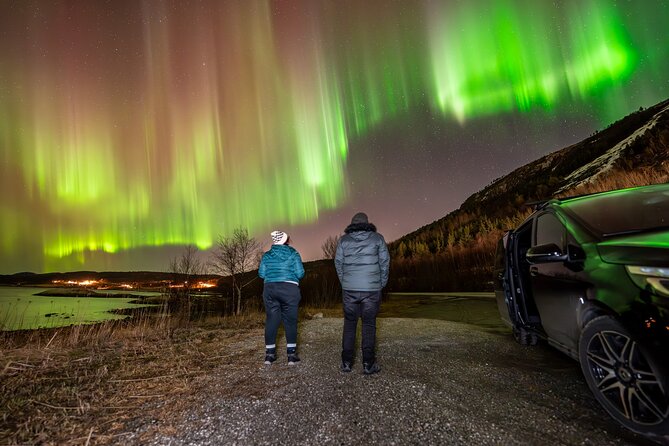 Northern Lights Tours Bodo Norway - Price and what you receive for $223.73