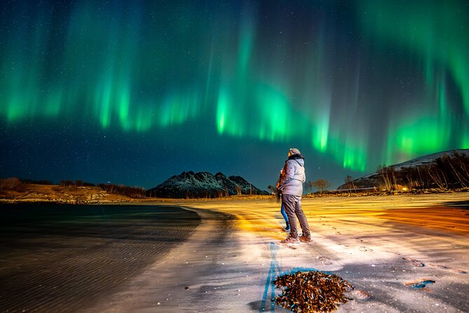 Northern Lights Tours Bodo Norway - Who will enjoy this tour most