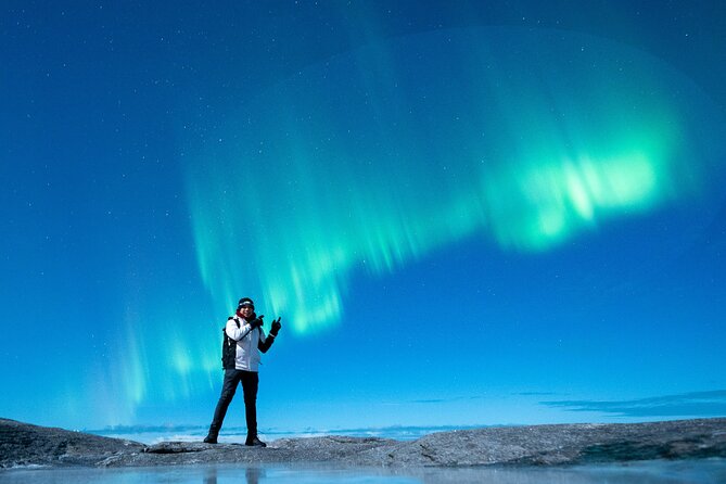 Northern Lights Tours Bodo Norway - Should you book the Bodø northern lights safari?