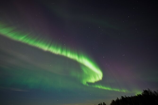 Northern Lights Trip No kilometers or Time Limit - Who should book this Rovaniemi tour