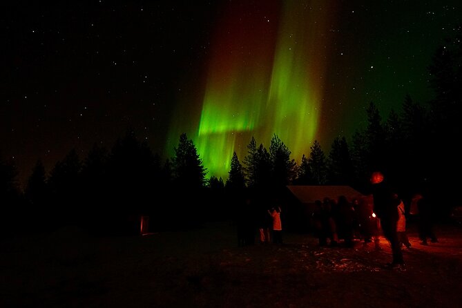 Northern Lights Trip to a Magical Place in Lapland - Waiting in a kota or cabin