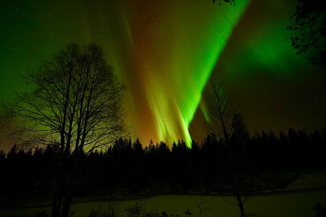 Northern Lights Trip to a Magical Place in Lapland - Who will get the most from this trip