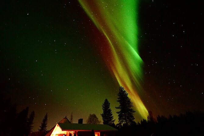 Northern Lights Trip to a Magical Place in Lapland - Leaving at 7:00 pm for the dark sky
