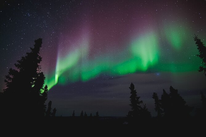Northern Lights Viewing at Murphy Dome - How the guide shapes the night
