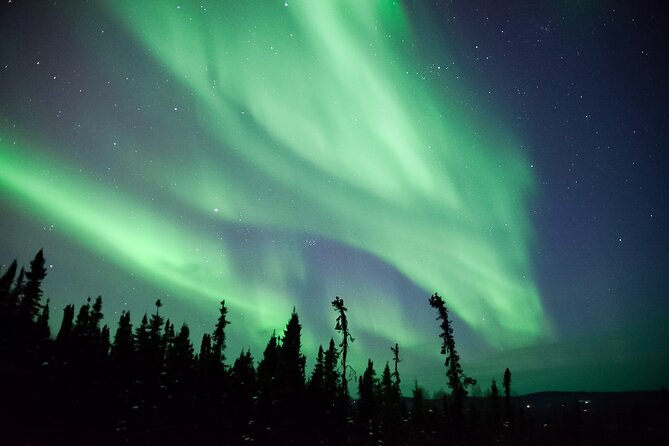 Northern Lights Viewing at Murphy Dome - Waiting in the cold without wasting the night