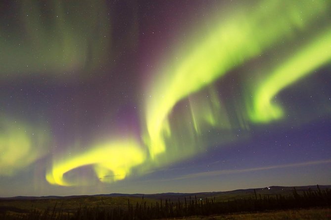 Northern Lights Viewing including Dinner and Dog Sledding - One hour behind the huskies