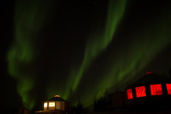Northern Lights Viewing including Dinner and Dog Sledding - Waiting for the northern lights