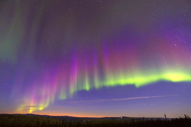 Northern Lights Viewing including Dinner and Dog Sledding - Meeting the sled dogs before the ride