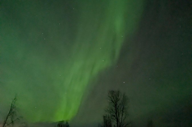 Northern Lights Walk to Old Kemi with BBQ and Arctic Views - What the $72.44 price includes