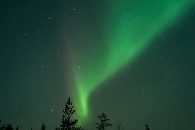 Northern Lights Walk to Old Kemi with BBQ and Arctic Views - How difficult is the walk?