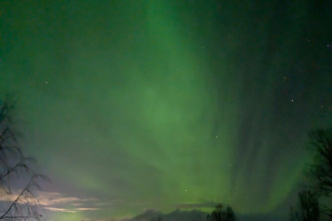 Northern Lights Walk to Old Kemi with BBQ and Arctic Views - A campfire that makes the waiting worthwhile