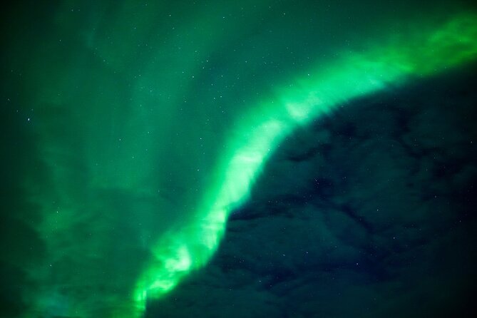 Northern Lights Wilderness Small-Group Tour from Rovaniemi - Photos, cameras, and privacy