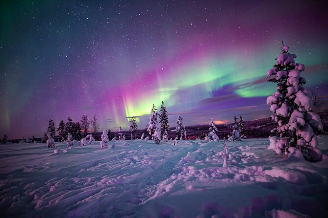 Northern Lights Wilderness Small-Group Tour from Rovaniemi - The people who make or break the night