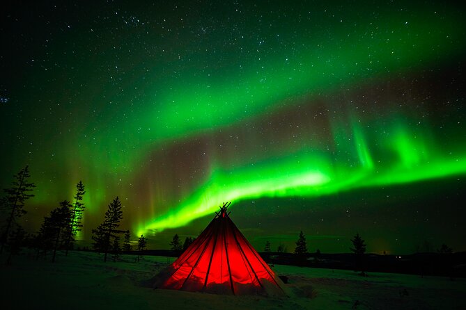 Northern Lights Wilderness Small-Group Tour from Rovaniemi - Cancellation and timing details