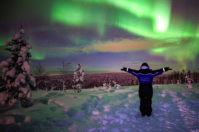 Northern Lights Wilderness Small-Group Tour from Rovaniemi - What happens at the fire stop