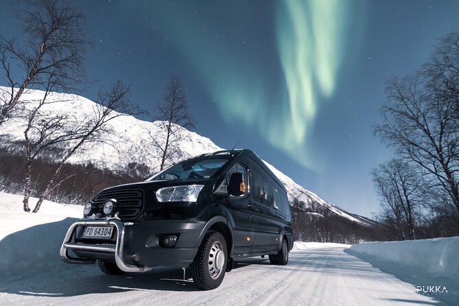 Northern Lights x Mini Bus Chase - The bonfire stop makes the waiting worthwhile