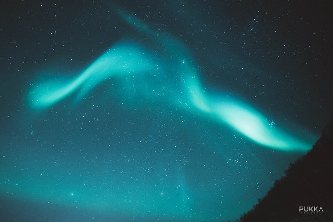 Northern Lights x Mini Bus Chase - What the guides add to the night
