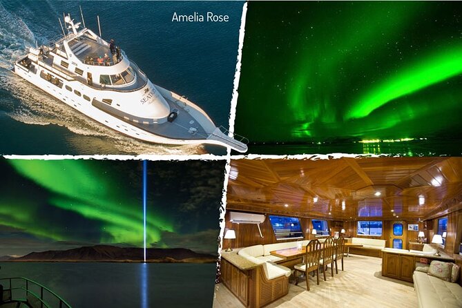 Northern Lights Yacht Cruise in Reykjavik - Inside the yacht: warmth, bar, and Wi-Fi