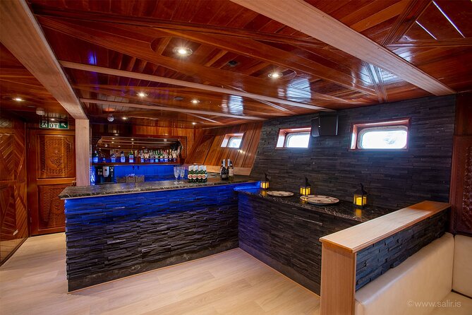 Northern Lights Yacht Cruise in Reykjavik - Price and value at $94