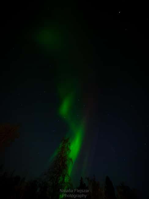 Oulu: Guided Night Walking Tour with Northern Lights Hunting - FAQ