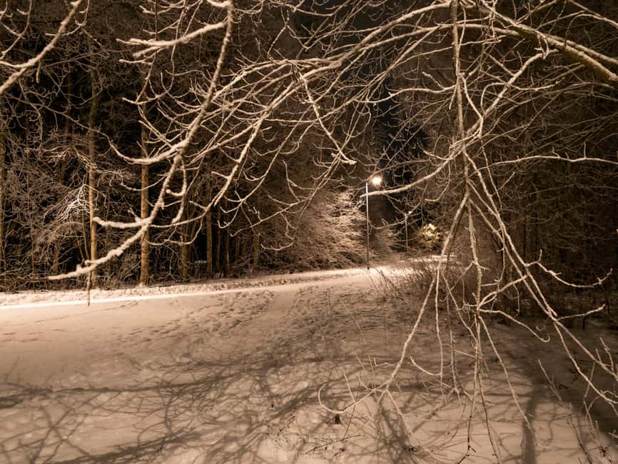 Oulu: Guided Night Walking Tour with Northern Lights Hunting - What the $94 price really covers