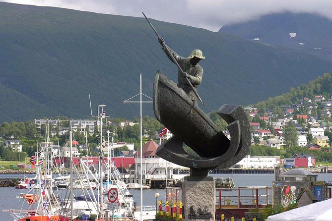Private 5 to 7 hours Northern Lights Tour in Tromsø with hotel pick up - Winter clothing, snacks, and drinks