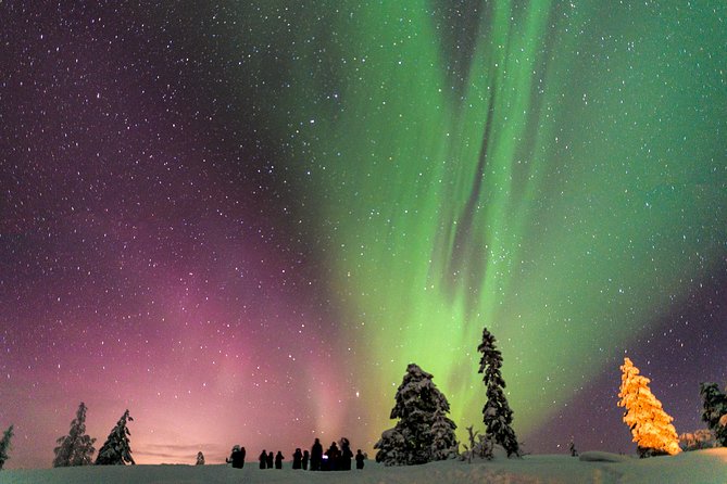 Private Aurora Tour (1-4) by Aurora Experts - Inari-Saariselkä - Key points to know before booking