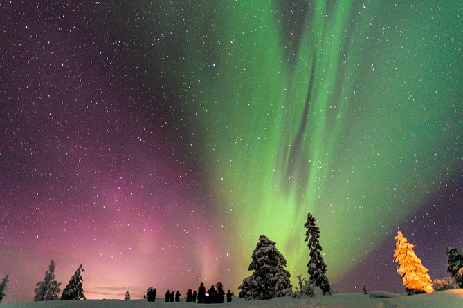 Private Aurora Tour by Lapland Welcome Aurora Experts for 1-4 persons - Why getting away from Rovaniemi matters