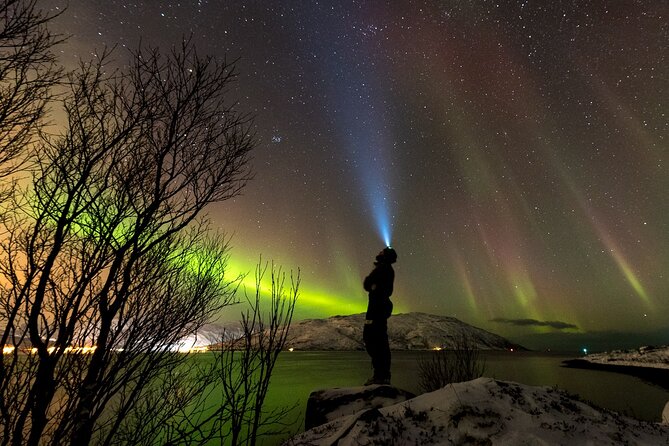 Private & Exclusive Northern Lights Tour with Professional guide - Starting in Tromsø at 7:00 pm