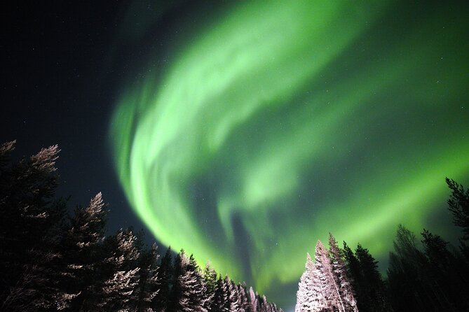 Private Group: Northern Lights Hunt 4x4 SUV with Aurora guarantee - Why this Northern Lights hunt feels different