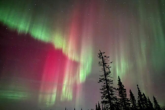 Private Group: Northern Lights Hunt 4x4 SUV with Aurora guarantee - Fire, tea, marshmallows, and Lapland comfort