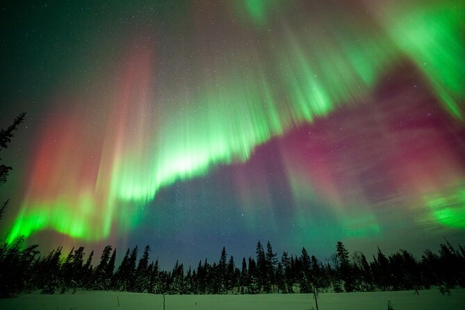 Private Group: Northern Lights Hunt 4x4 SUV with Aurora guarantee - The aurora guarantee needs a careful reading
