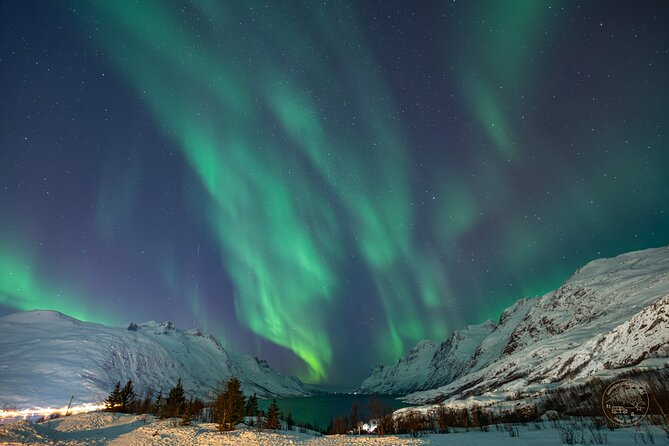 Private Northern Lights Chase with Photography from Tromsø - Photographing the aurora with a professional camera