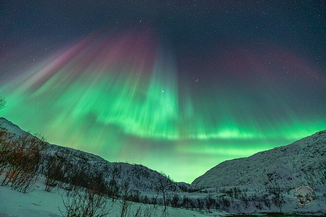 Private Northern Lights Chase with Photography from Tromsø - Timing, booking, and weather rules