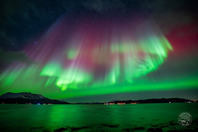 Private Northern Lights Chase with Photography from Tromsø - Following the Tromsø fjords and the weather