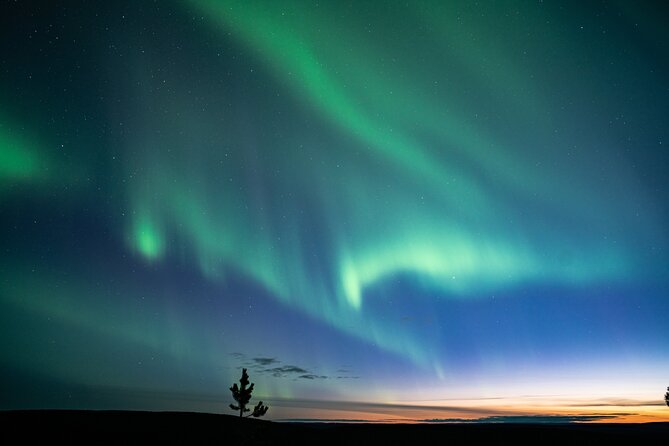 Private Northern Lights Hunt from Levi - Key points before you reserve