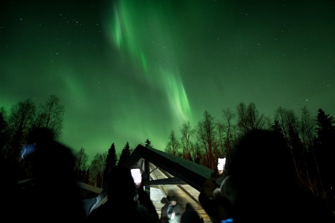Private Northern Lights Hunting Expedition - Price and what you receive for $216.74