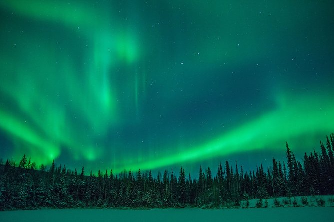 Private Northern Lights Hunting Tour Rovaniemi - Searching beyond the city lights