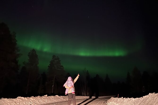 Private Northern Lights Hunting Tour Rovaniemi - A good choice for families and small groups