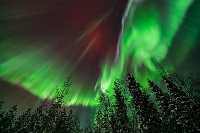 Private Northern Lights Hunting Tour Rovaniemi - What you can expect from the guide