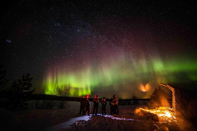 Private Northern Lights photography tour in Rovaniemi - Practical details before you reserve