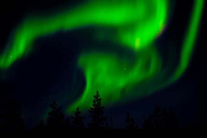 Private Northern Lights Tour With Skis Or Snowshoes in Pyhä - A strong fit for families and first-timers