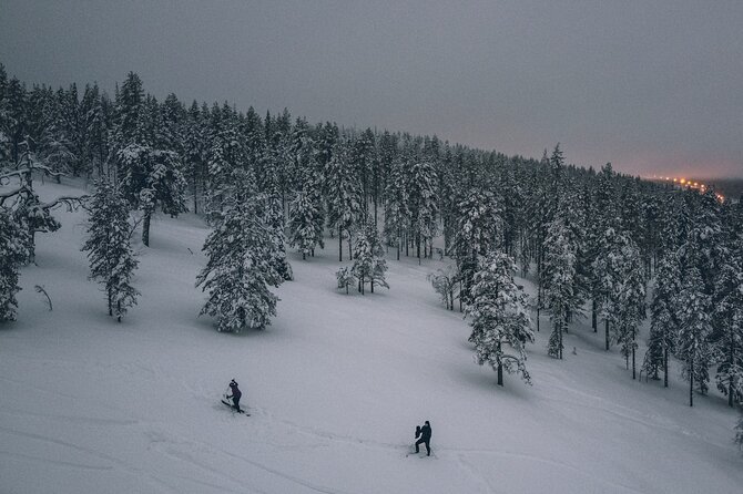 Private Northern Lights Tour With Skis Or Snowshoes in Pyhä - What the $169.24 price covers